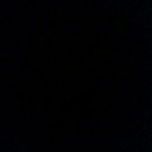 Meet your Posher, Elena